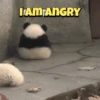 ANGRY STICKERS 7