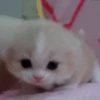Random gif part 16