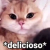 Gatitos con Frases 24