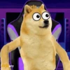 Dogesh 7
