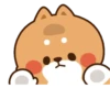 Cute cat and dog 14