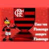 FLAMENGO⚫️🔴CORINTHIAS⚫️⚪️ 15