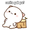 Hari hari Peach Cat 10