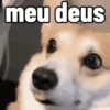 Reações 😲😩😁 13