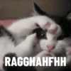 Random gif part 8