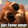 Atualiza aí 12