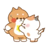 Cute cat and dog 27