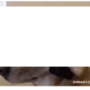 Dog memes 13