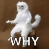Wierd reactions 6