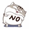 All cat for u 14