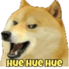 Dogesh 15