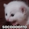 Para reagir 7