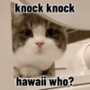 Hehe 9