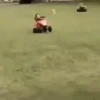 Desenhos animados que você precisa 11 8