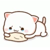 Kyuut 14