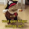 você quer brigar comigo, né?