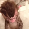 Monos lindos 6