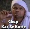 Chup Kar Be Kutte