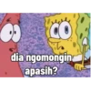 Petrik no ingfo 14