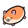 Hamsters 🐹✨ 5