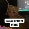 Random gif part 15