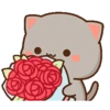 Kucing bucin 14