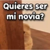 😳 Gato Vergonzoso 🙈 19