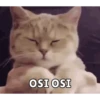 Memes v2 14