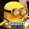 Minions 5