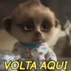 MEMES APAIXONADOS 😍❤️ 7