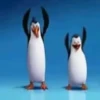 Pinguins dançando