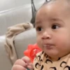 Cipung abubu gemes 14
