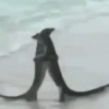 😎 TIK TOK VIRALES 2🔝😜 10
