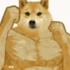 Funny doge 8