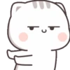 Kucing 1 23