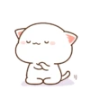 Kucing lucu 2 11