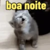 Memes & Reações 11