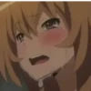 Toradora Gif 27