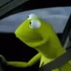 Memes & Reações 8
