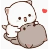 Kucing bucin 5