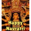 Durga Puja ✨ 8