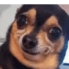 Memes x2 14