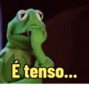 Memes e respostas 10