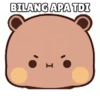 Panda coklat ucull 7