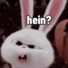 Meme 6