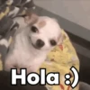 ✨Animados que necesitas✨ 4 5