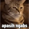 Gatau 8