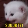 REAÇÕES 9