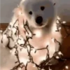 Feliz natal 10