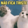 MEIGAS E FOFAS 🥰 11